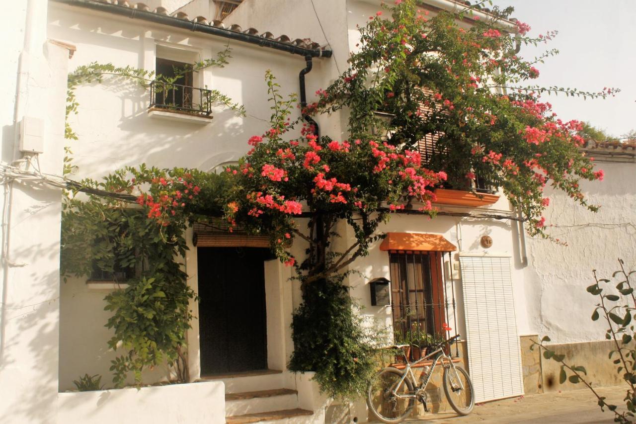 Hostal Moncada 가우신 외부 사진