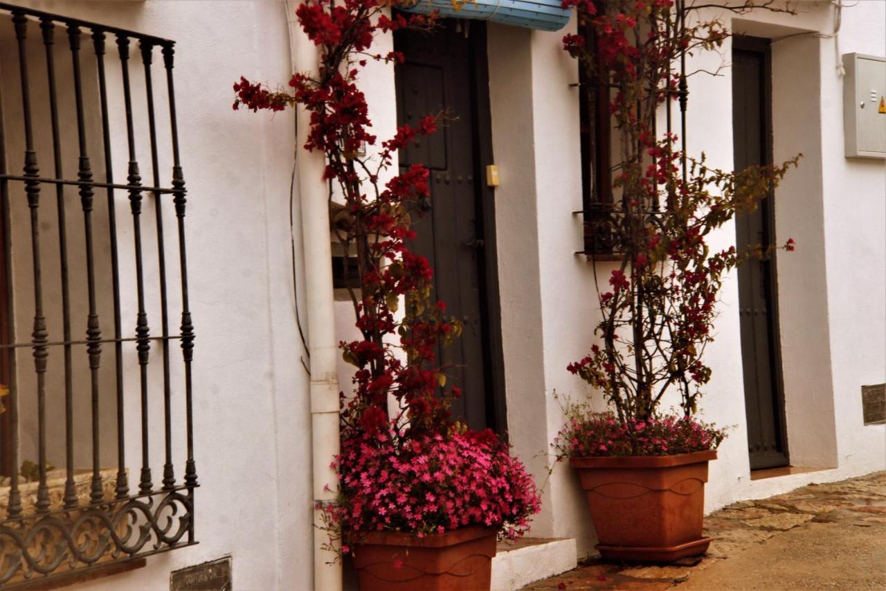 Hostal Moncada 가우신 외부 사진