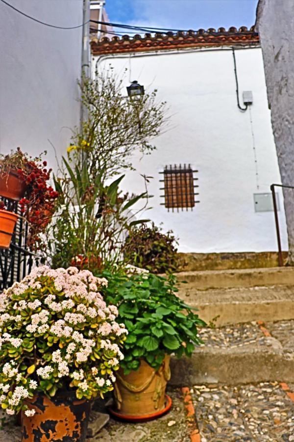 Hostal Moncada 가우신 외부 사진